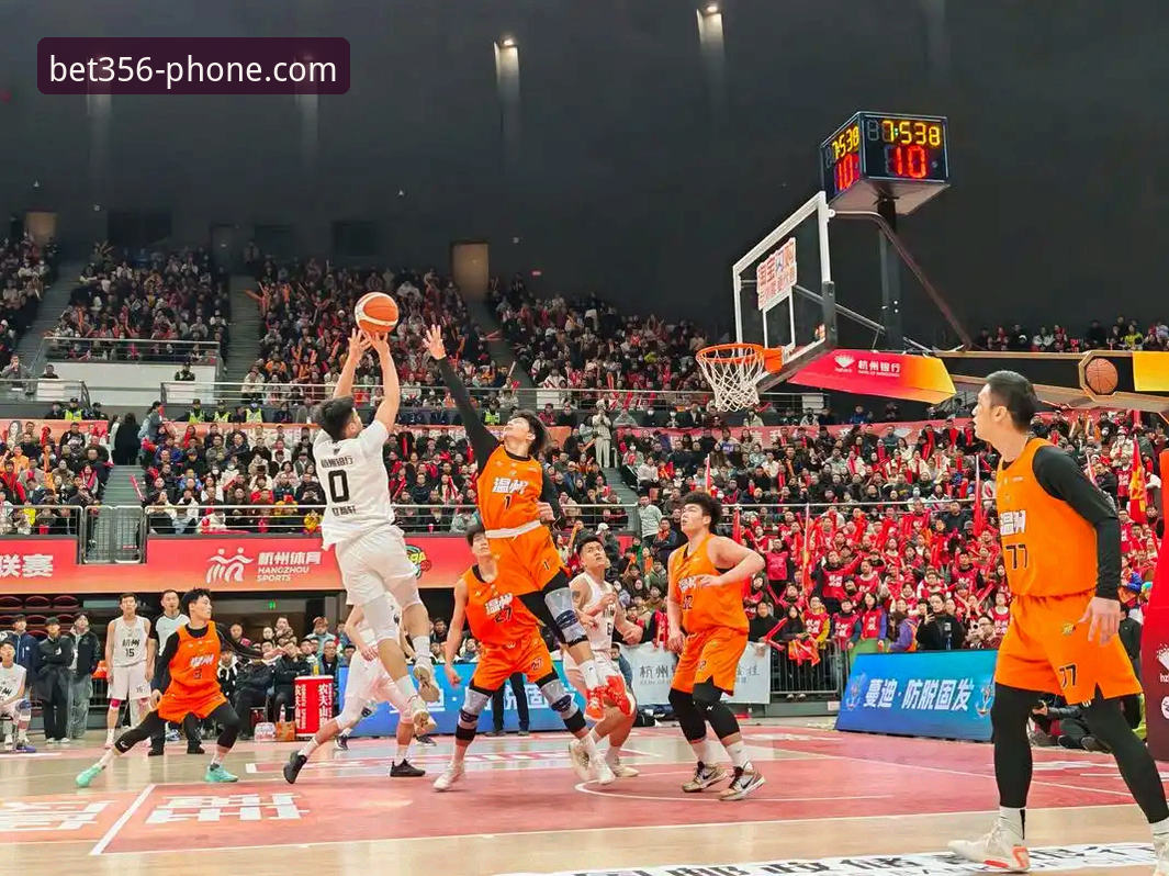 资深用户分享：从浙江队绝杀看bet356平台观赛体验升级