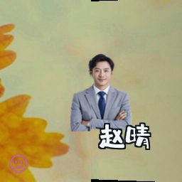 赵晴